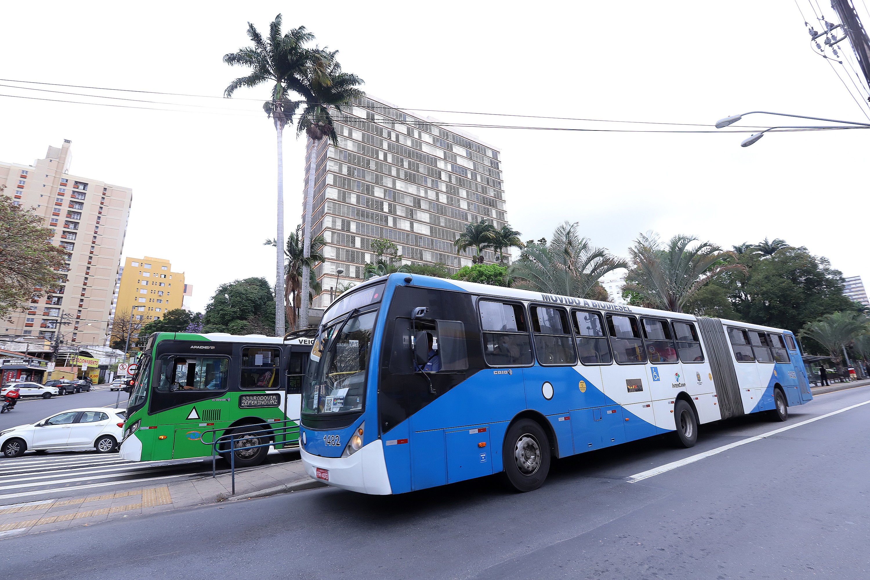 foto Not&iacute;cia São Pedro