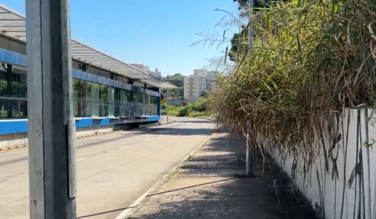 foto Not&iacute;cia São Pedro